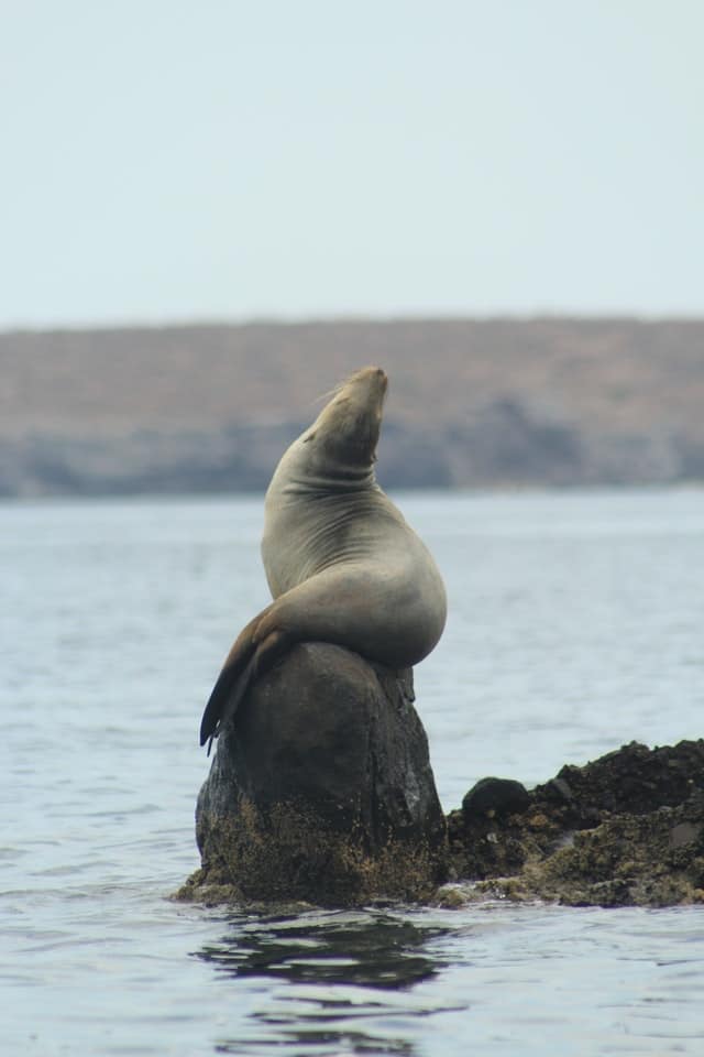 la-paz-baja-california-espiritu-santo