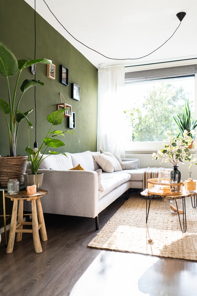bold-wall-living-room